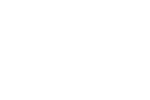 SCIP Engineering-01
